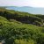 Camping Feniglia - Orbetello - Grosseto - Toscana