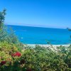 Vista mare circondata da vegetazione.