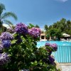 Piscina circondata da fiori viola e palme.