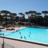 Piscina all'aperto con persone che nuotano, circondata da pini e aree verdi.