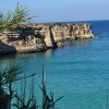 Una scogliera rocciosa accanto a un mare blu cristallino, vista tra la vegetazione.