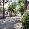 Strada alberata tra edifici moderni bianchi.