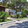 Esterni con bungalow, vialetto e piante tropicali.