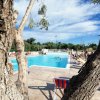 Piscina vista tra tronchi d'albero.