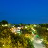 Veduta notturna su alberi illuminati lungo un viale.