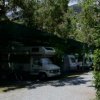 Camper parcheggiati tra gli alberi.