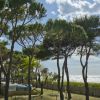 Alberi alti vicino al mare con cielo nuvoloso.