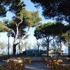 Area esterna con tavoli e sedie tra gli alberi.