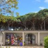 Negozio con souvenir e alberi sullo sfondo.