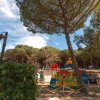 Parco giochi colorato tra alberi.