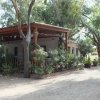 Un edificio con veranda circondato da piante verdi.