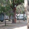 Camper tra gli alberi in campeggio.