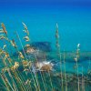Erba secca con mare blu intenso sullo sfondo.