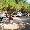 Persone passeggiano tra camper in un'area alberata.