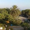 Un giardino con palme e alberi verdi, con vista sul mare in lontananza.