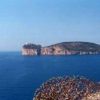 Promontorio roccioso sul mare con vegetazione in primo piano.