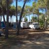 Area campeggio con roulotte e tende tra gli alberi.