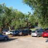 Area parcheggio con molte auto e alberi.