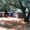 Saline Camping Village (SA) Campania