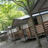 Bungalows allineati sotto gli alberi.