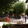 Panchina in un giardino con alberi, vista su una strada con auto e segnali stradali.