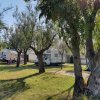 Camper tra alberi in un camping diurno.