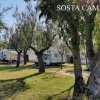 Area camper immersa nella natura con alberi.