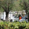Diversi camper parcheggiati tra alberi.