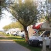 Strada sterrata tra camper parcheggiati sotto alberi.