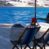 Persone in piscina con sdraio e piante attorno.