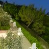 Giardino con sedie bianche e alberi di sera.