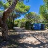 Sentiero in un bosco con tenda a righe.