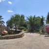 Giardino con palma e indicazioni stradali, cielo sereno.