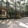 Bungalows tra alti pini in un ambiente boschivo.