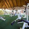 Palestra all'aperto con attrezzi su pavimento verde.