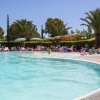 Una piscina con palme e lettini.