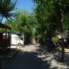 Tree-lined path with parked campers.