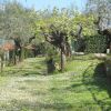 Giardino con alberi e sentiero erboso.