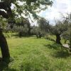 Un prato verde circondato da alberi.