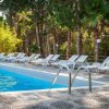 Piscina con lettini bianchi e sfondo di alberi.