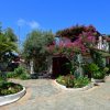 Casa con fiori rosa e giardino verde.