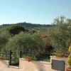 Giardino con ulivi e cespugli fioriti, vista su colline in lontananza.