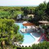 Una piscina all'aperto con palme e vegetazione lussureggiante intorno.