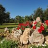 Un giardino con fiori rossi e gialli tra rocce, circondato da ulivi e un cielo blu.
