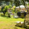 Due sedie a sdraio su prato con gazebo e piante.