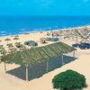 Una spiaggia sabbiosa con ombrelloni di paglia e un cielo limpido.
