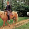 Tre persone a cavallo camminano lungo un sentiero in un ambiente boscoso.