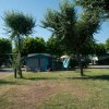 Tenda blu in un campo con alberi e prato.