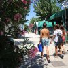 Bambini camminano su un vialetto fiancheggiato da fiori e tende verdi.