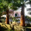 Palme e vegetazione in un giardino con case sullo sfondo.